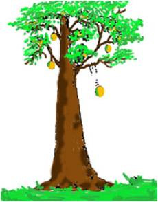 Hasil gambar untuk Energi potensial gravitasi pada buah di atas pohon